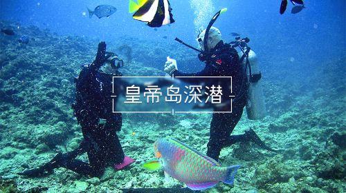 天鹅森林逃脱